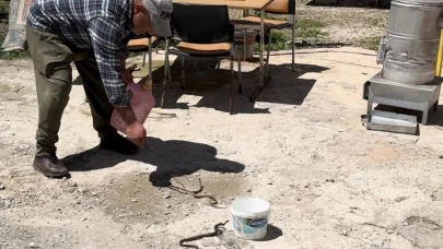 Aka ailesi bahar aylarında kabusu yaşıyor: Evlerinde çıkan yılanlarla yaşıyorlar