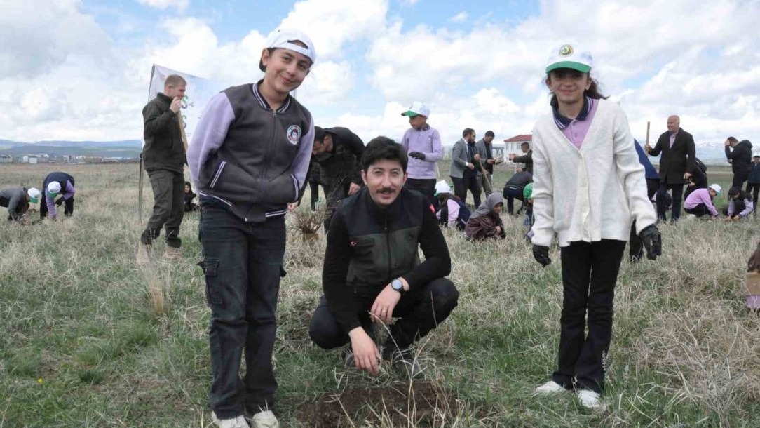 Meyve ağaçları toprakla buluştu