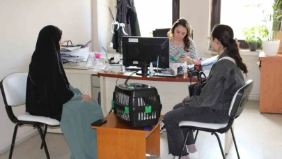 Tercan’da mikroçip çalışmaları devam ediyor