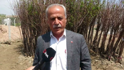 Zirai don binlerce meyve fidanını da vurdu