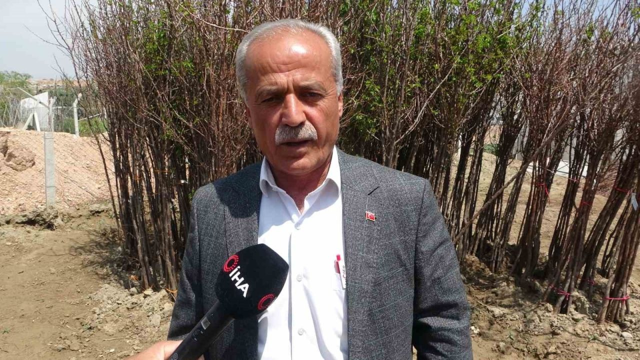 Zirai don binlerce meyve fidanını da vurdu