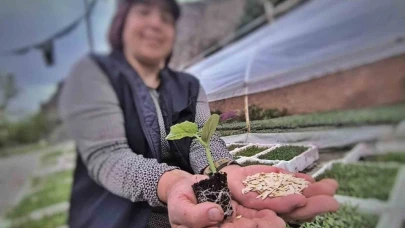 Uzundere’nin çiçek kadınları yılda 1 milyon fide üretiyor