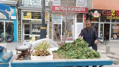Ağrı'nın Diyadin ilçesinde baharın müjdecisi ışkın ve çiriş tezgahları süslüyor