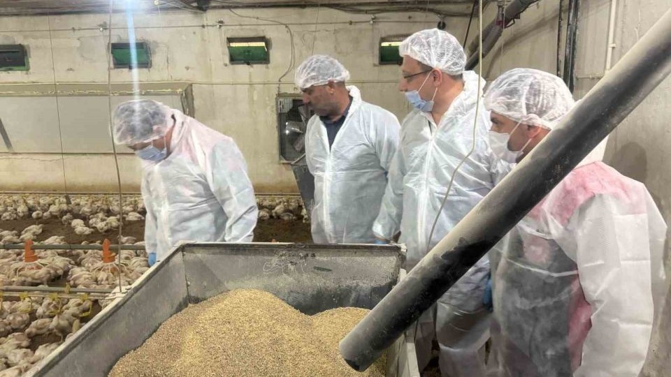 Erzincan Tarım ve Orman İl Müdürü Koçaker, etlik piliç üretimi yapılan tesislerde incelemede bulundu