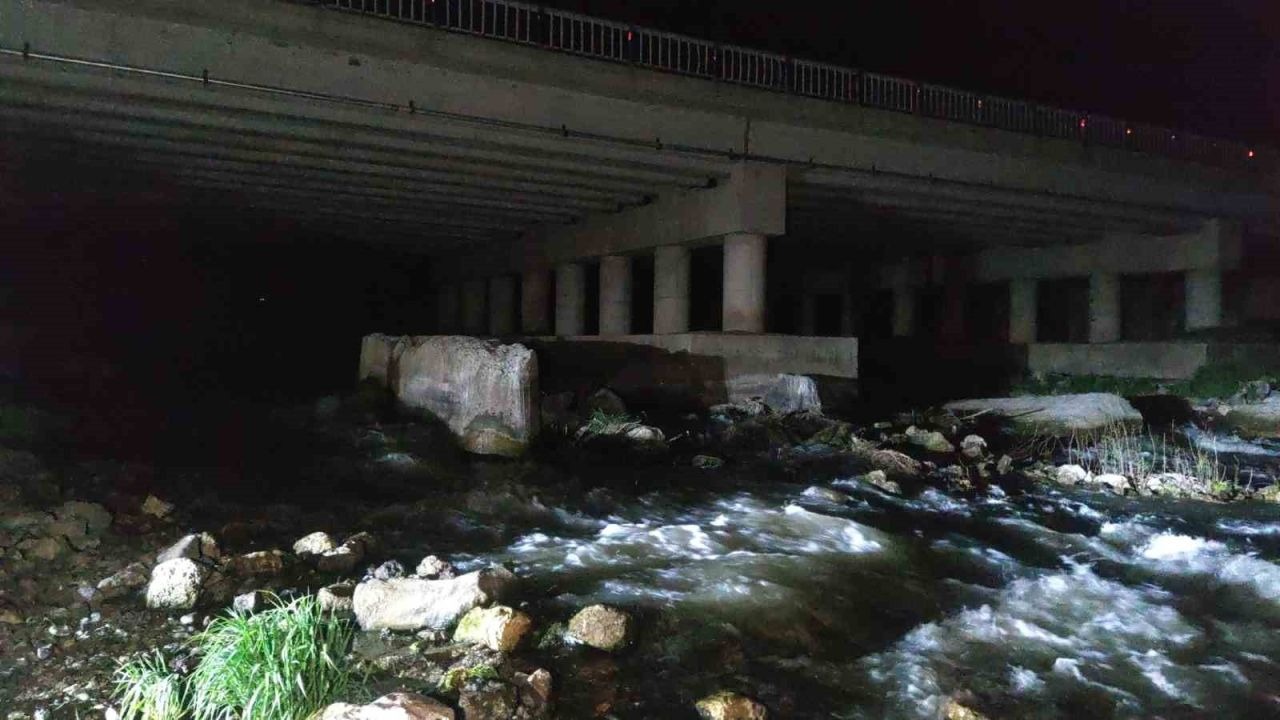 Van Gölünün İnci kefali gece yolculuğu başladı