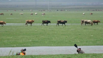 Kura Nehri’nde kano heyecanı