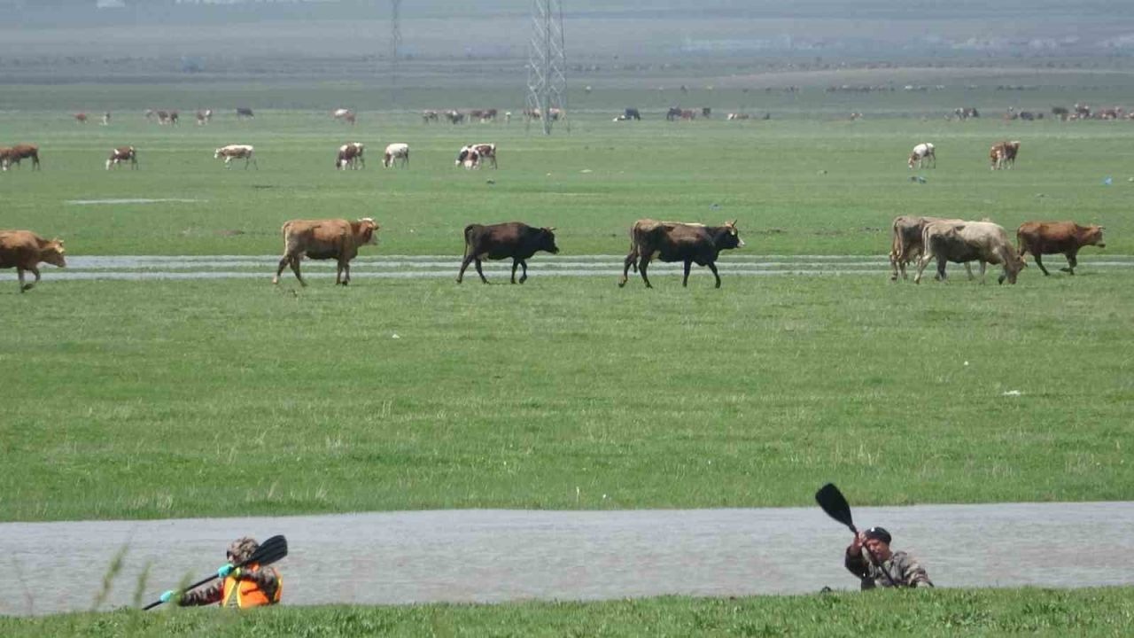 Kura Nehri’nde kano heyecanı