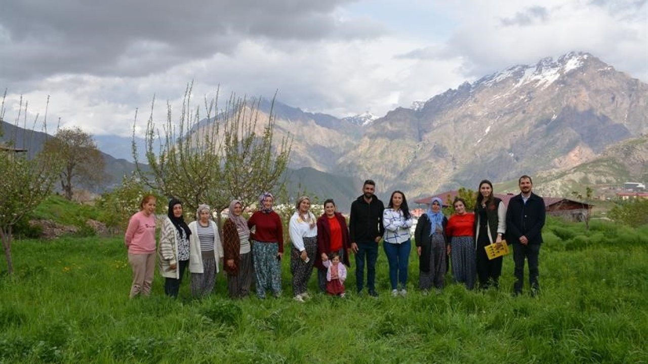 Hakkari’de kadın üreticilere safran yetiştiriciliği eğitimi