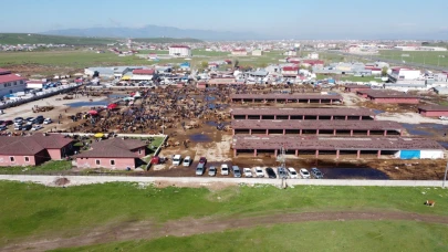 HÜDA PAR Ağrı Teşkilatı’ndan Hayvan Borsası Ziyareti: Fiziki Yetersizlikler Gündemde