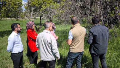 Erzincan'da zirai dona karşı sigorta yaptıran çiftçilerin zararları inceleniyor