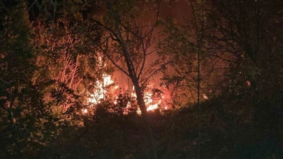 Erzincan Kemah’ta ev yangını