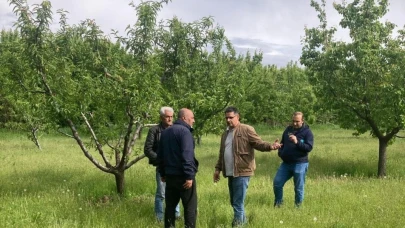 Mühendisler kayısı hastalıkları ve zararlılarına ilişkin gözlemde bulundular