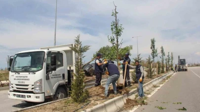 Van Büyükşehir Belediyesinden sahil yolunda çalışma