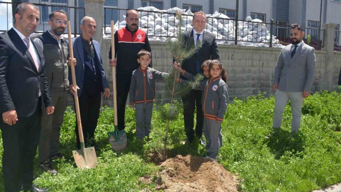 Muş Bulanık’ta 5 bin çam fidanı dağıtıldı