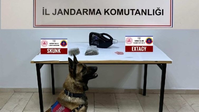 Erzincan’da jandarmadan suçlulara geçit yok
