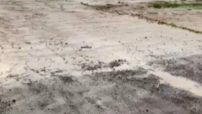 Kars Akyaka’da dereler taştı, ahırları su bastı