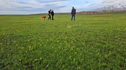 Adilcevaz'ın saklı cennetleri Cil Gölü ve Sütey Yaylası