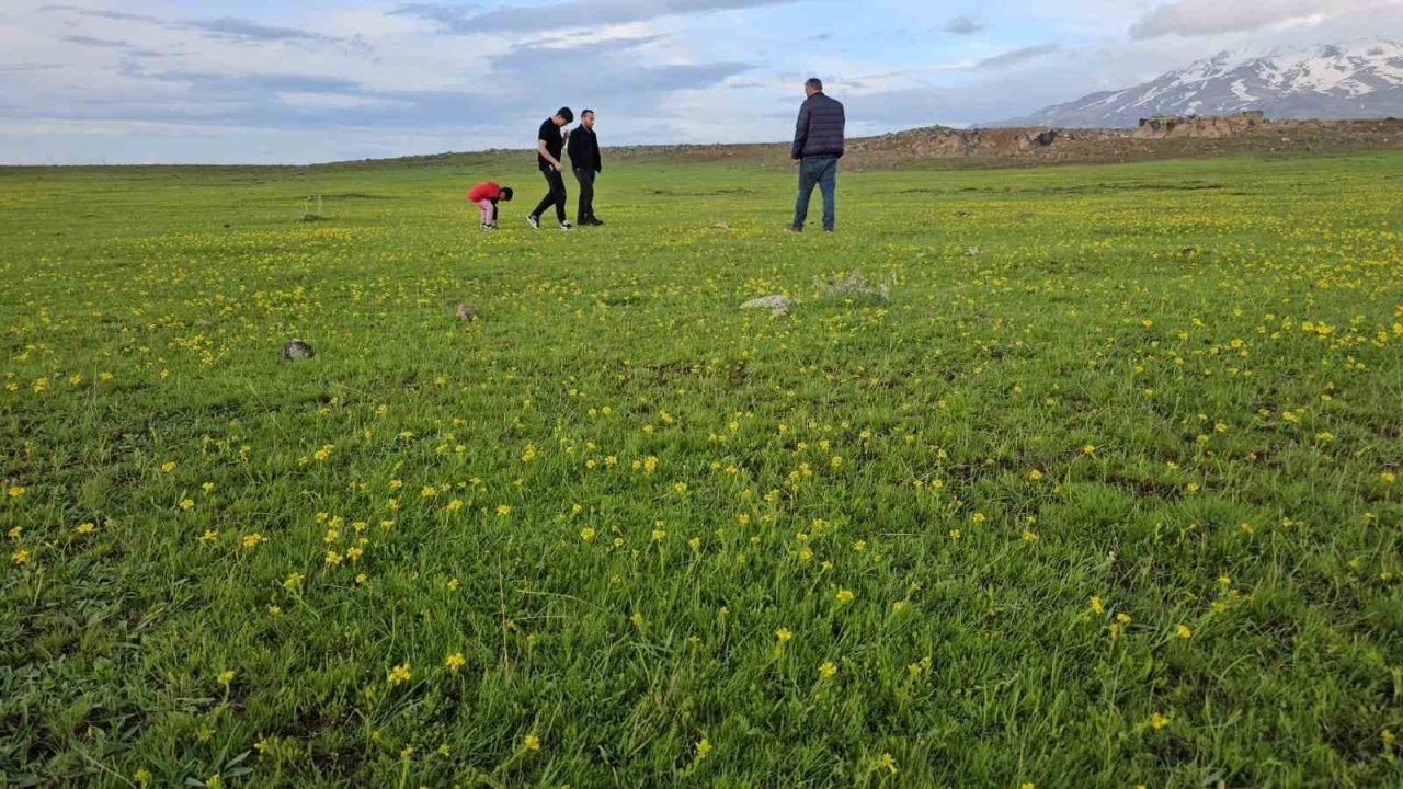 Adilcevaz'ın saklı cennetleri Cil Gölü ve Sütey Yaylası