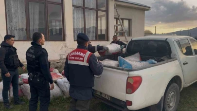 Jandarma 3 ton 820 kilo kaçak avlanmış balık ele geçirdi