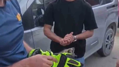 Iğdır’da aracın motor kısmında sıkışan yavru kedi kurtarıldı