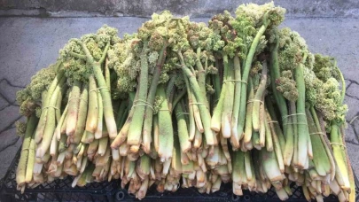Erzincan Tercan’da ‘yayla muzunun’ destesi 50 ila 80 TL’den satışta
