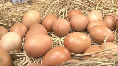 Mart ayında yıllık tavuk yumurtası üretimi yüzde 8,8 azaldı