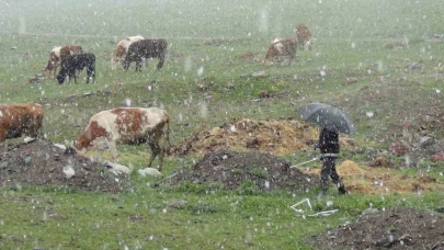 Kars’ta Mayıs karı şaşırttı