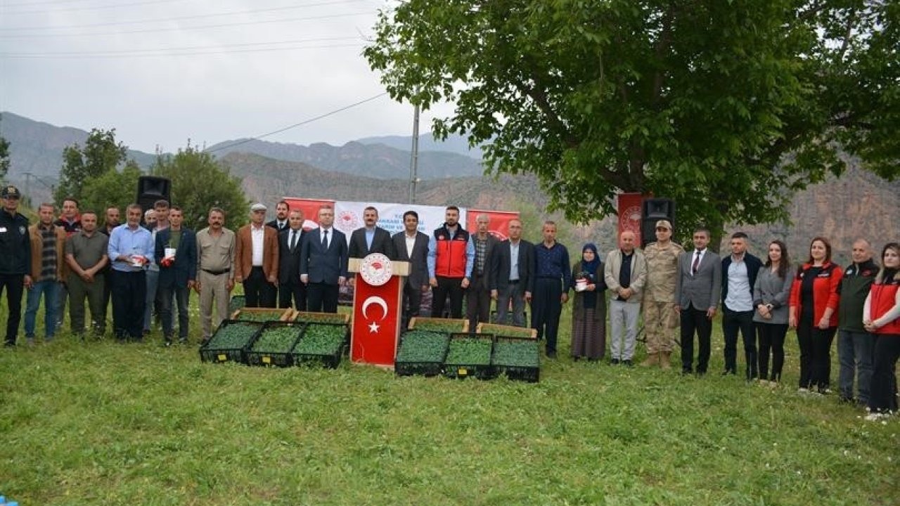 Hakkari’de üreticiye fide desteği