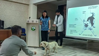 Van Büyükşehir Belediyesi öğrencileri sokak hayvanları hakkında bilgilendirdi