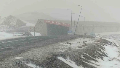 Van'da Karabet Geçidi’nde lapa lapa kar yağdı