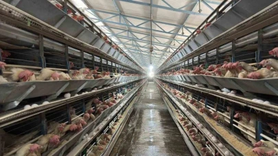 Yumurta tavukçuluğu sektöründe 80 bin adet tavuk bulunan işletmeye ek olarak yeni tesis geliyor