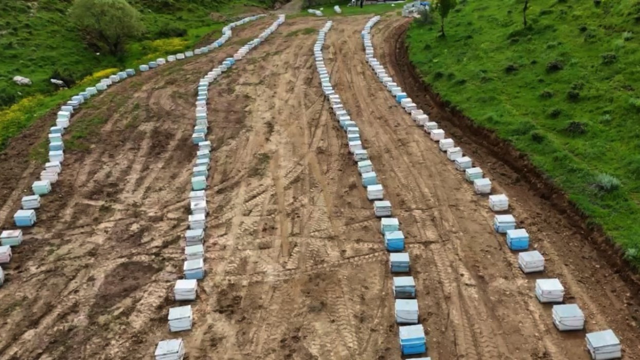 Bitlisli arıcılar yeni sezona hazır