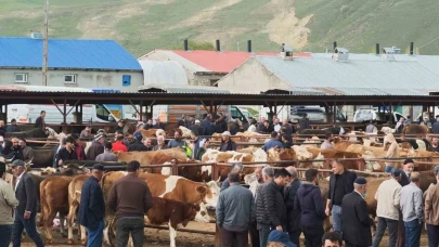 Erzurum'da kurbanlık hayvanlar görücüye çıktı