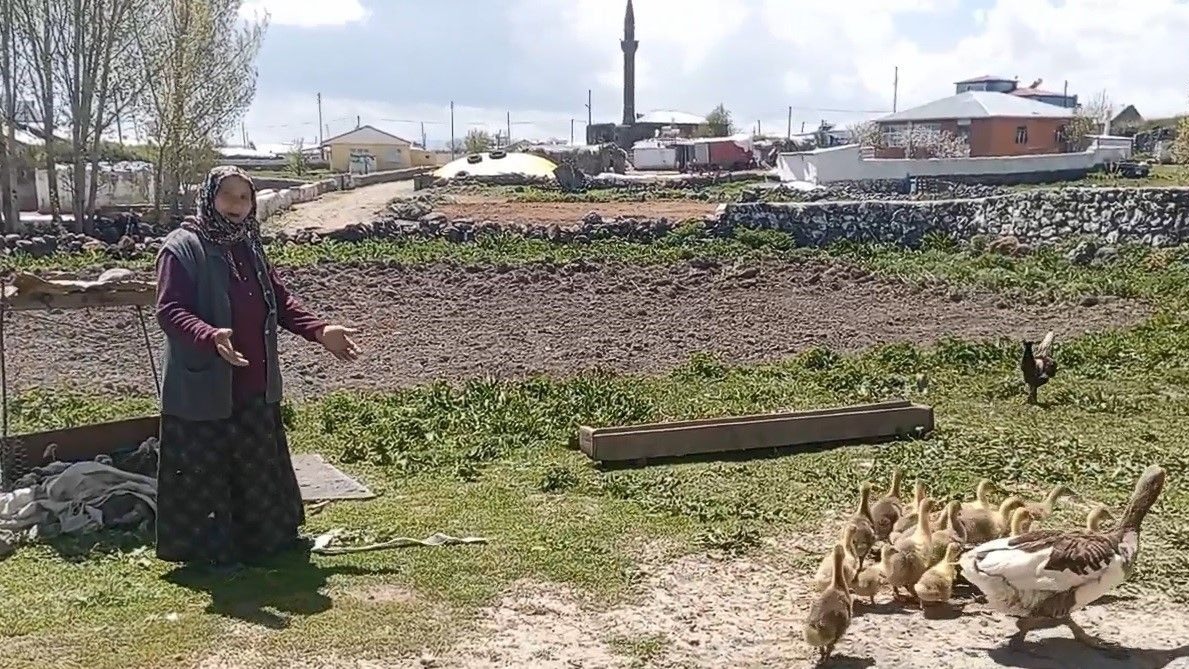 Kars’ta kaz, gram altınla yarışıyor