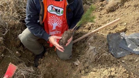 TEMA Vakfı Erzurum’da faaliyetlerine devam ediyor