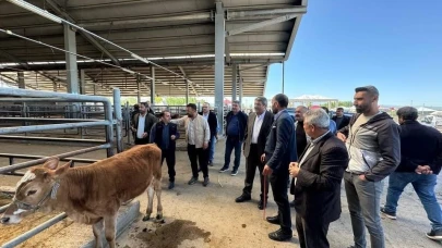 Belediye Başkanı canlı hayvan borsası ve et entegre  tesisinde incelemelerde bulundu.