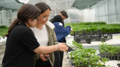 Erzurum da lise öğrencileri 1 milyon fide üretimi hedefliyor