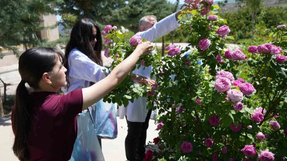 Iğdır Üniversitesi’nde yetişen güller kozmetik ürünlere dönüşüyor