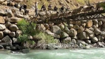 Avaşin Deresi’ndeki asma köprüden geçen koyun sürüsü görenleri hayran bıraktı