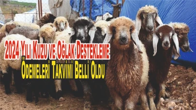 2024 Yılı Kuzu ve Oğlak Destekleme Ödemeleri Takvimi Belli Oldu