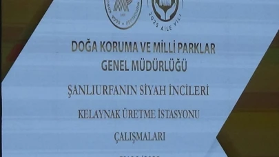 Kelaynak kuşlarının üretimi masaya yatırıldı