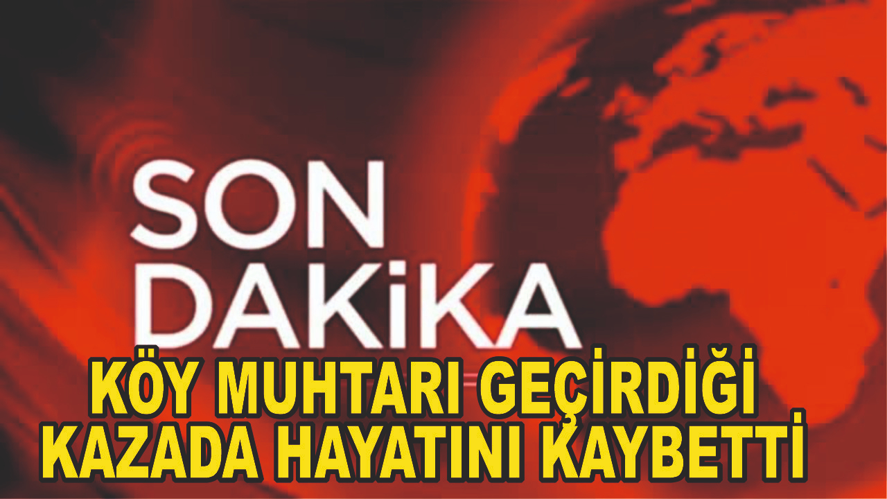 Ağrı’da Trafik Kazası: Köy Muhtarı Hayatını Kaybetti