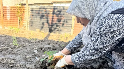 Ağrı’da Yaz Hazırlığı: Bahçelere Bostan Kuruldu