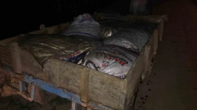 Jandarma 15 ton kaçak inci kefali ele geçirdi