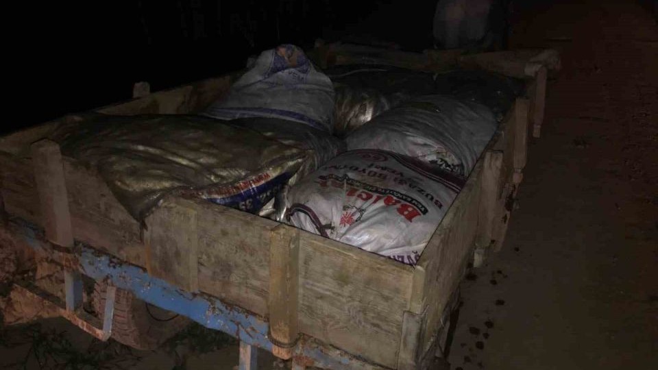 Jandarma 15 ton kaçak inci kefali ele geçirdi