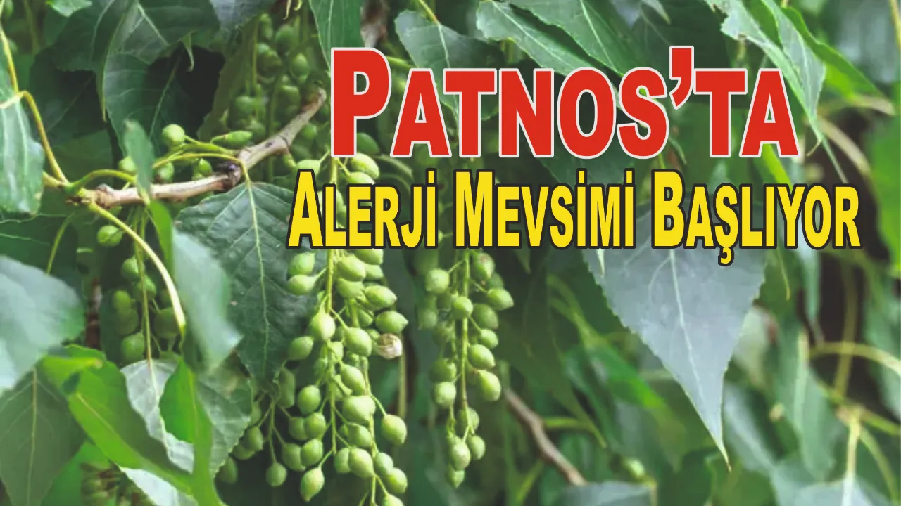 Patnos’ta Alerji Mevsimi Başlıyor
