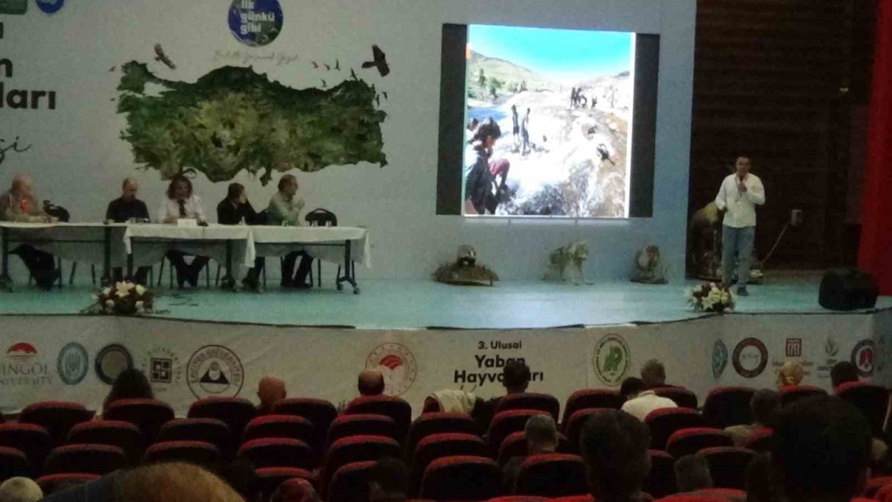 Bir Gölün Doğuşu: Van Gölü ve İnci Kefali Efsanesi