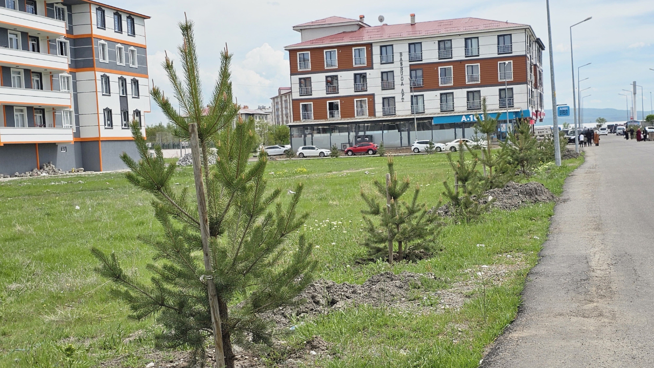 Ağrı’da 720 Sarı Çam Fidanı Toprakla Buluştu