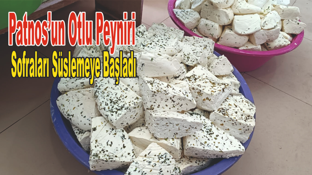 Patnos’un Otlu Peyniri Sofraları Süslemeye Başladı