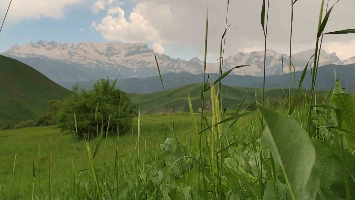Cilo Dağlarında görsel şölen